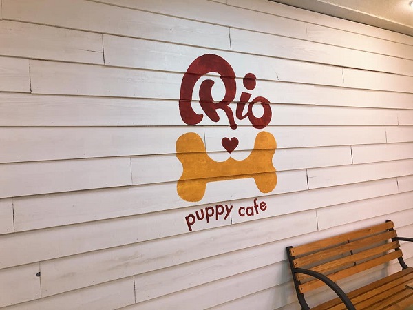 ワンちゃんに会いにいこう Puppy Cafe Rio 八王子店 犬カフェ 八王子 セイトinfo 八王子 立川 多摩の情報サイト
